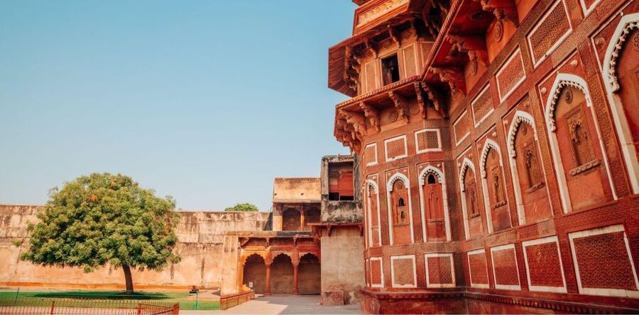 From Delhi: Taj Mahal & Agra Full Sameday Tour All Inclusive - Price and Value at Around $8 Per Person: Great Deal, Check Your Options