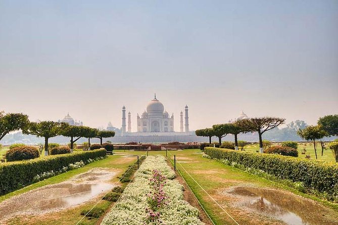 From Delhi :Taj Mahal And Agra Tour with Elephant wildlife sos - Logistics that matter: timing, private groups, and comfort