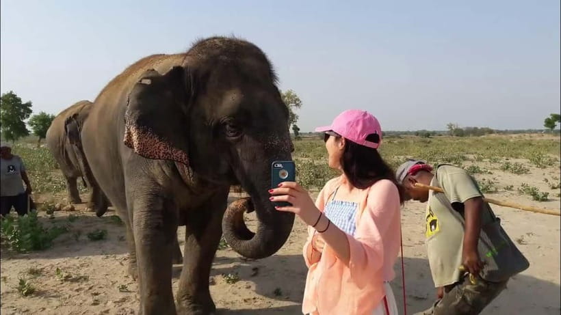 From Delhi: Taj Mahal with Photographer & Elephant SOS Tour - Mughlai lunch at a 5-star hotel: convenience with local flavor