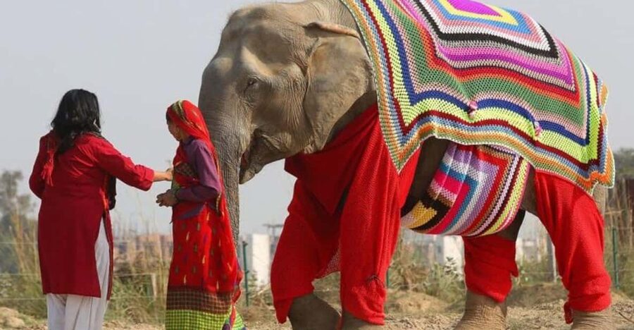 From Delhi: Taj Mahal with Photographer & Elephant SOS Tour - The Delhi-to-Agra rhythm: private car + smart timing