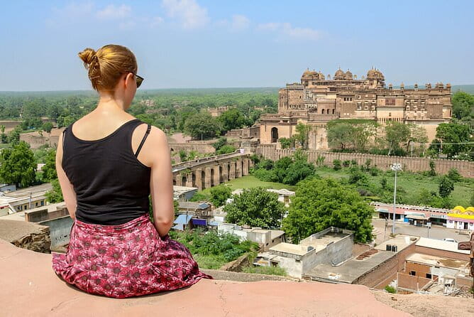 Full Day 8 Hours Old and New Delhi City Tour. - New Delhi Icons: India Gate, Parliament Area Views, and the Government-Plan Feel