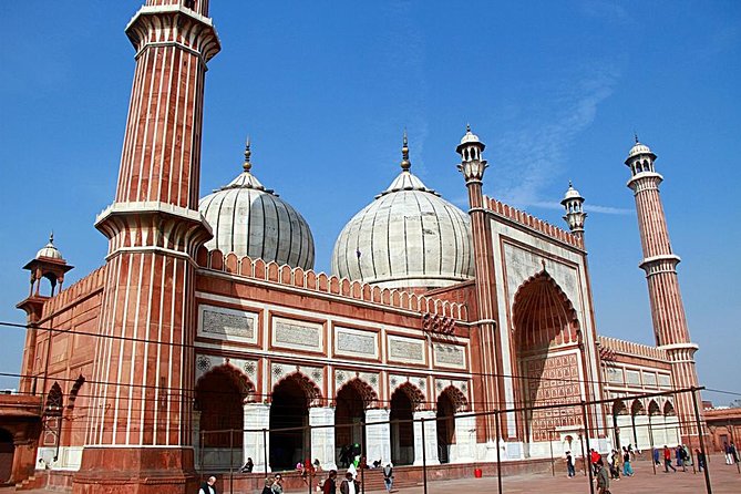 Full Day Delhi Tour - Why this private Delhi day works so well