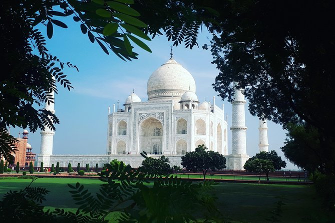 Golden Triangle Tour Package Delhi Agra Jaipur - Golden Triangle in 3 Days: What You Really Get for $72
