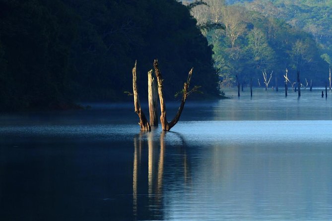 Golden Triangle Tour with Kerala - Golden Triangle Meets Kerala: how this 13-day rhythm feels