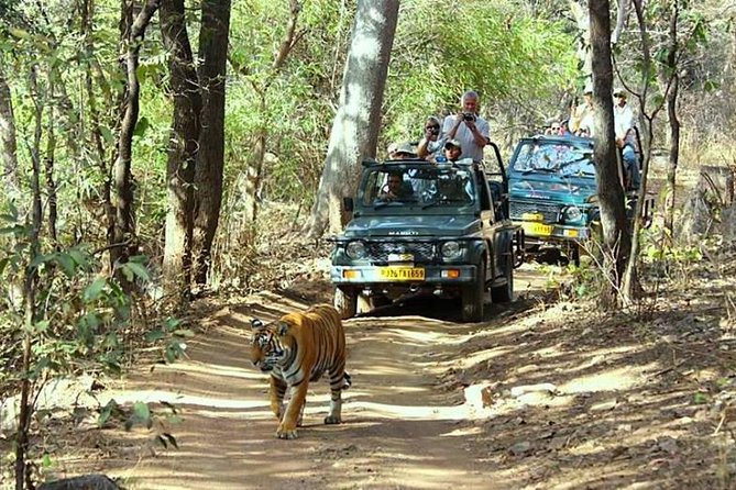 Golden Triangle Tour With Ranthambore Tiger Safari - Price and Logistics: Where Your $760 Goes (and What Costs Extra)