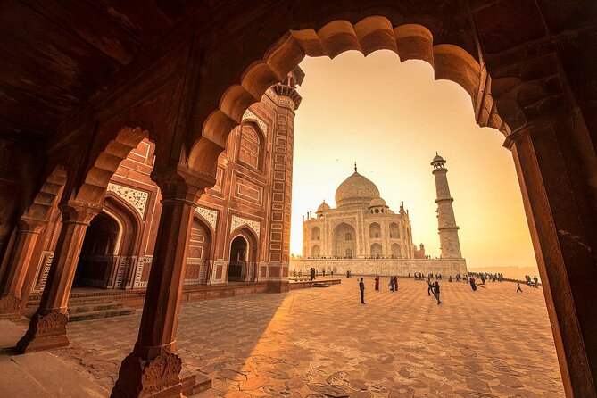Golden Triangle with Ranthambore Tour - Day 5: Ranthambore National Park safaris—tigers, leopards, and crocodiles