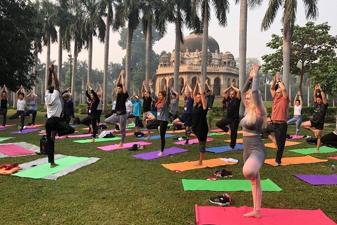 Half Day Yoga Meditation Workshop (6 Hrs) in New Delhi - Price and value: is $181.40 a good deal?