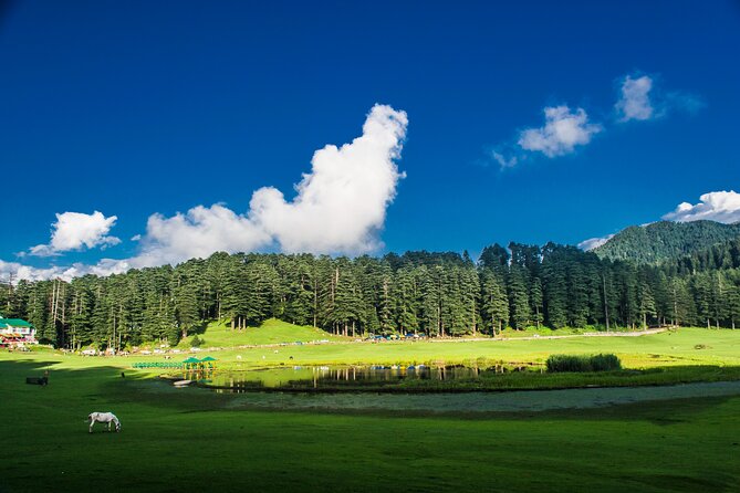 Himachal Tour Package - Private car transfers from Delhi: less waiting, more mountain time
