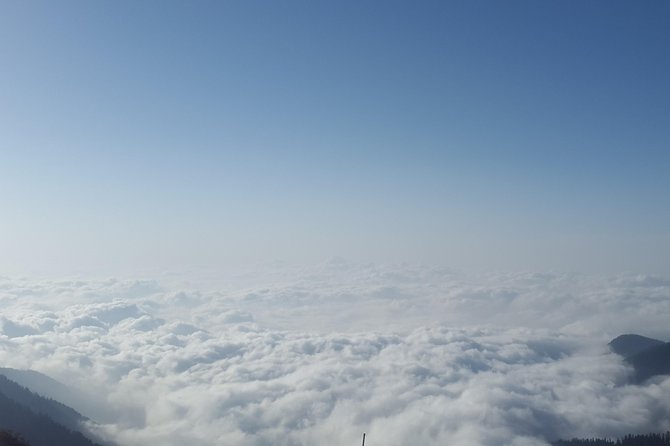 Himachal Tour Package - Shimla in one day: Mall Road, Christ Church, Jakhoo Temple, and Kufri views