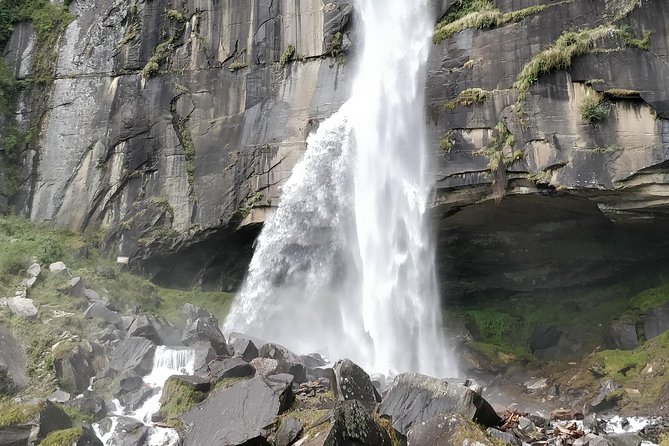 Himachal Tour Package - Manali’s highlights in a full day: Hadimba, Vashisht hot springs, Van Vihar, and Tibetan Monastery