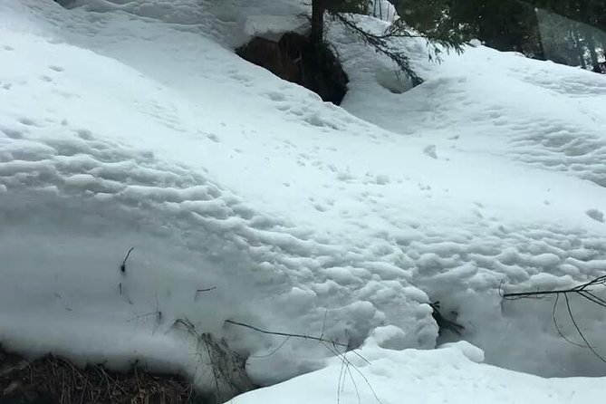 Himachal Tour Package - Solang Valley adventure day: what’s included, what’s extra, and how to budget
