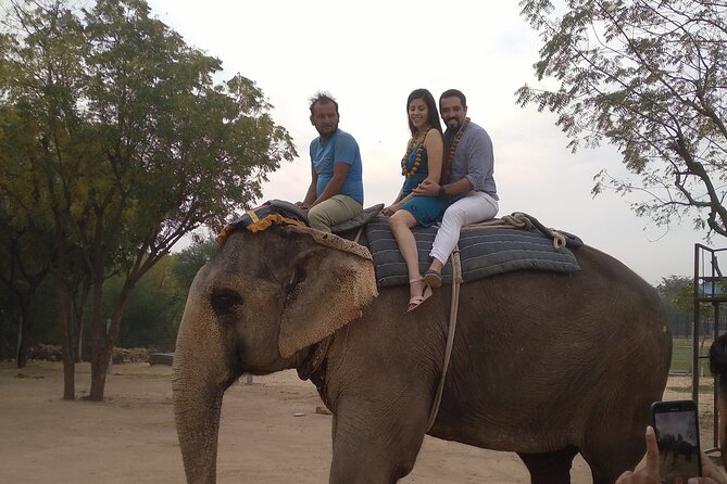 Jaipur Pink City Private Day Trip from Delhi - From Delhi to Jaipur: early pickup, AC comfort, and a realistic schedule