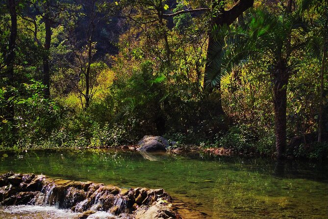 Moderate Himalayan Treks Near Rishikesh From Delhi - Quick Highlights You’ll Actually Care About
