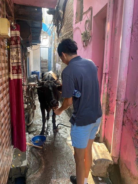New Delhi - Ethical Sanjay Colony Slum Tour with Local guide - Learning by Locals: where your support gets turned into education