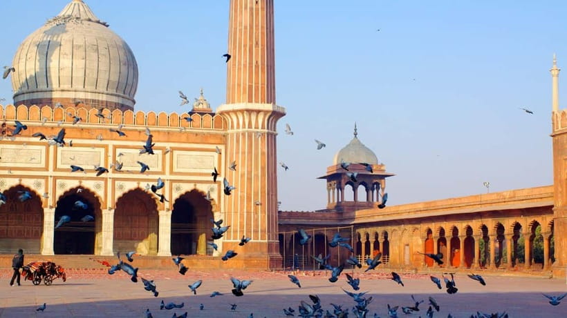 Old and New Delhi Private Full or Half Day Tour Upto 8 Hours - About the Guides: When Names Like Sahil, Arif, and Rahul Show Up