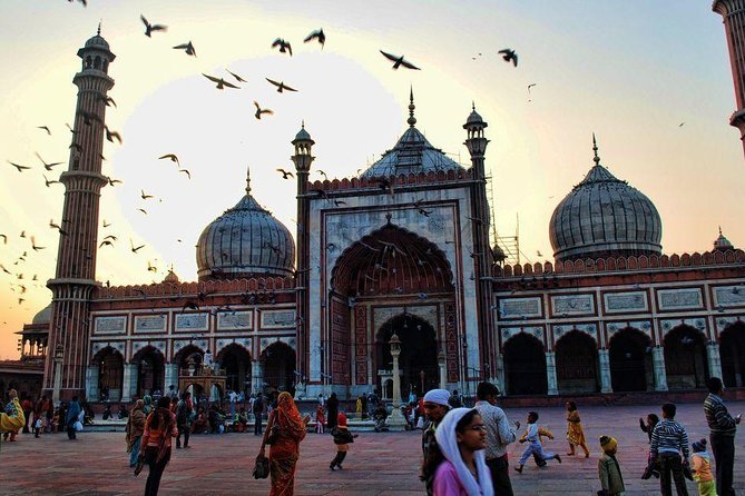 Old Delhi Half day private city tour - Key highlights I’d plan around