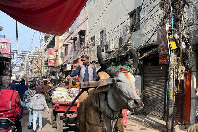 Old Delhi Heritage Food Walk - Old Delhi Rickshaw Ride and Masala Chai: The Tour’s Best First Hour