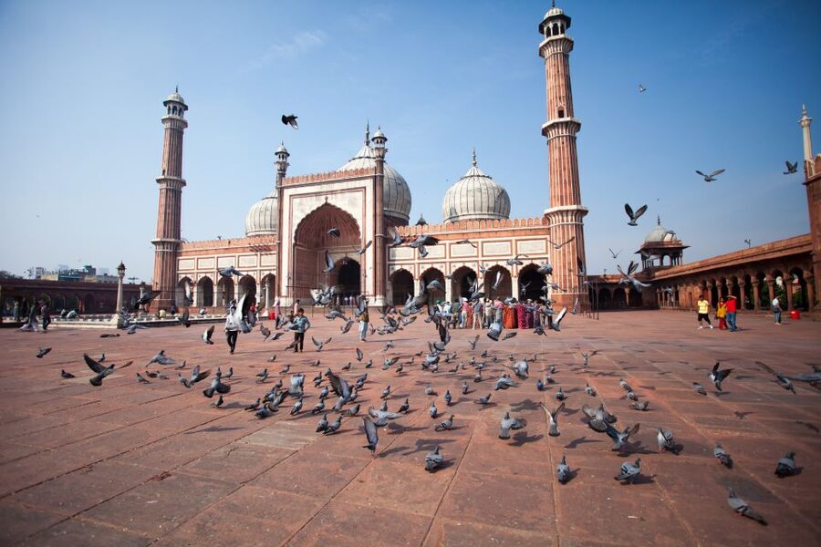 Old & New Delhi City Tour – Half or Full Day Options - Chandni Chowk by Tuk-Tuk and Khari Baoli’s Spice Market