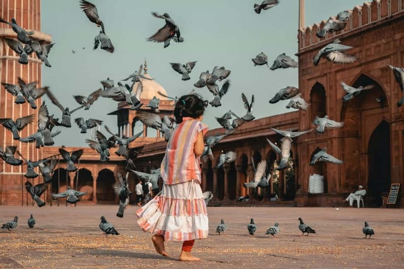 Old & New Delhi Culture & Architecture City Private Tour - Khari Baoli Spice Market: Smells, Uses, and Why Spices Still Run the Show