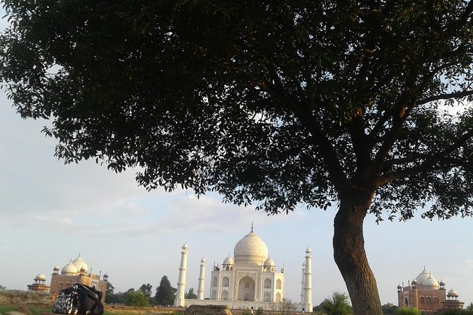 Overnight tour of Agra Taj Mahal Sunset & Sunrise from Delhi - Taj Mahal sunrise at 06:00: light, marble, and the best kind of quiet