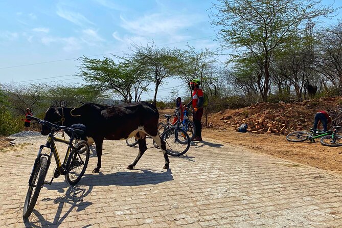 Premium Delhi Aravalli Organic Cycle Tour - A glimpse of Real and Rural India - Dirt Tracks Between Hills: Where the Cycling Gets Real