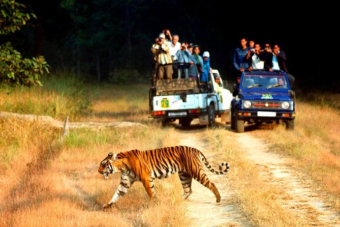 Private 2 Nights Short Escape To Jim Corbett - 4-star jungle lodging and downtime that actually feels restful