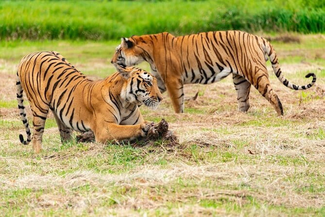 Private 4-Day Tiger Safari & Golden Triangle Tour from Delhi - Day 1 in Delhi: Qutub Minar, Lotus Temple, Old Delhi Breathing Room