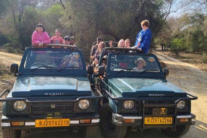 Private 4-Day Tiger Safari & Golden Triangle Tour from Delhi - Day 3: Ranthambore National Park Safari Done Right (Early, Guided, Real)