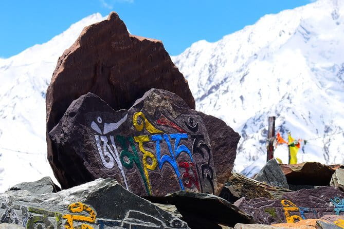 Private 4-Day Tiger Safari & Golden Triangle Tour from Delhi - What to Know Before You Go (So Things Don’t Surprise You)