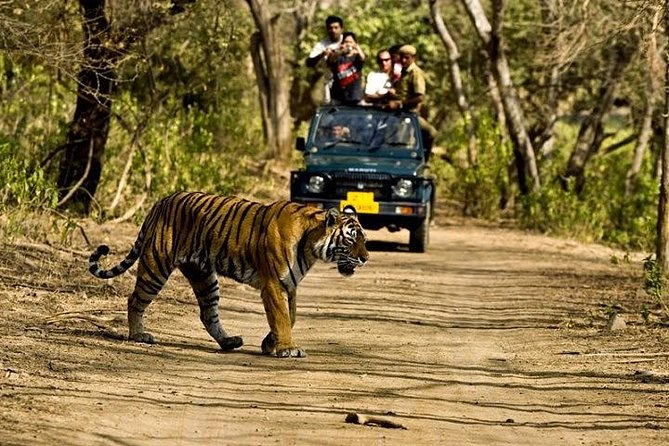 Private 5-Day Ranthambhore Tiger Tour from Delhi including the Taj Mahal, Agra and Jaipur - Agra overnight: Taj Mahal sunrise plus Agra Fort on the same day