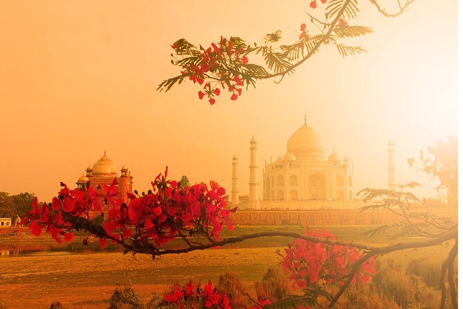 Private Agra Taj Mahal Tour by Car from Delhi - What to bring and how to make it smoother