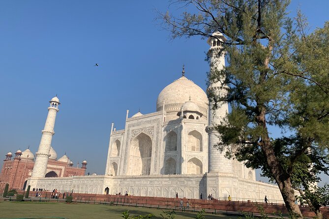Private Agra Tour - Taj Mahal, Agra Fort & Baby Taj (Daytrip from Delhi) - Price and value: what $50.35 covers (and what it doesn’t)