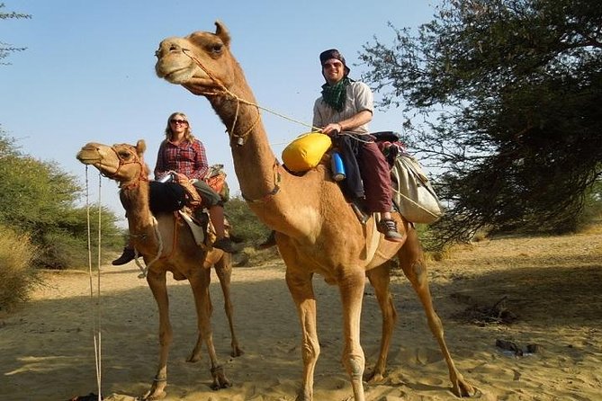 Private Chandigarh Day Trip from New Delhi - Key highlights that matter