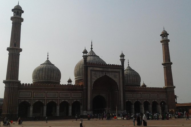 Private City Tour of New Delhi and Old Delhi - Getting around Delhi: private transport is how you beat the chaos