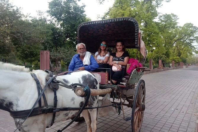 Private Day Tour Tajmahal Agra From Delhi - Lunch at an AC local restaurant: keep it simple