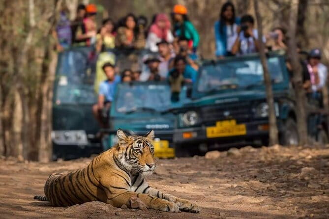Private Delhi Agra Jaipur Multi Day Tour - Key highlights worth knowing