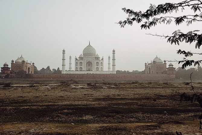 Private Full-Day Taj Mahal and Agra Fort Tour from New Delhi - The private guide + your own pace (what that means in real life)