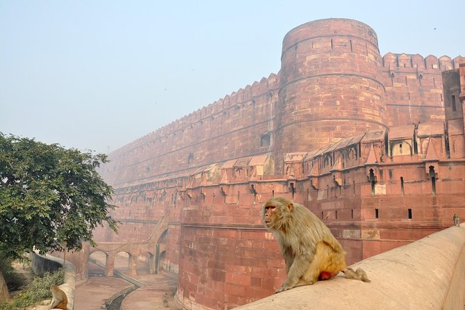 Private Taj Mahal & Agra Tour by Express Train From - Delhi - Itimad-ud-Daulah, Baby Taj: Small Scale, Big Detail