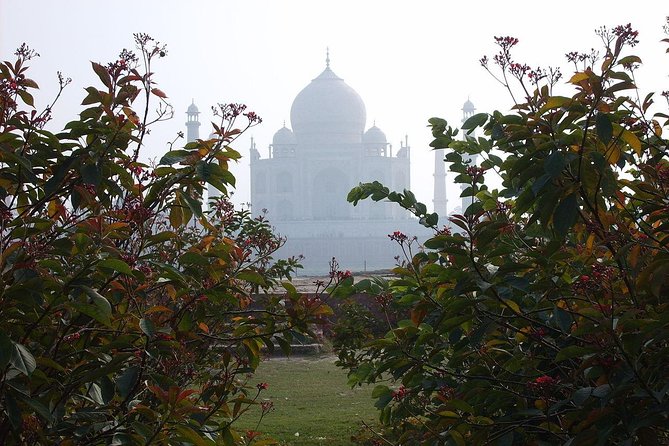 Private Taj Mahal from Delhi to Agra By Car - Agra Fort: the second half that keeps the day from feeling one-note