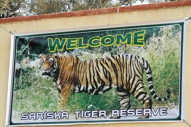 Private Tour from Delhi to Sariska Safari and Jaipur (1N/2D) - The Delhi drive: the part you’ll feel in your bones