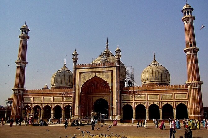 Private Transfer From Delhi Airport to Hotel in New Delhi - Flight tracking and waiting rules that reduce stress