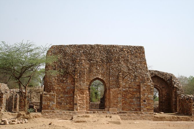 Private Walking Tour: South Delhi Heritage including Qutub Minar and Mehrauli Archaeological Park - Food, Comfort, and the Stuff That Keeps You From Snapping