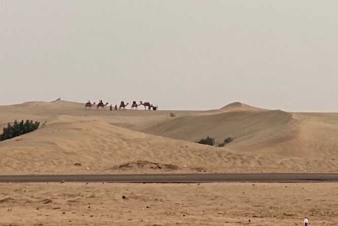 Rajsthan holiday 7 days - Golden Triangle to Rajasthan: how this 7-day route really works