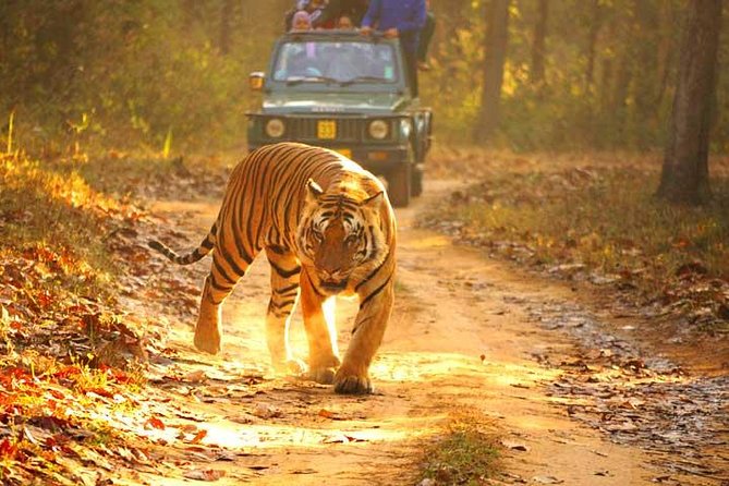 Ranthambhore Tiger Tour of Delhi, Agra, and Jaipur 5 Star Hotel - Agra Day 5: Taj Mahal sunrise plus Agra Fort