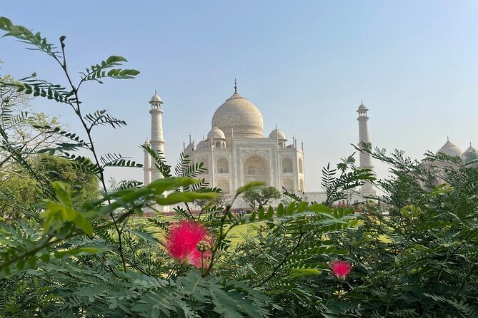 Same Day Tajmahal at Sunrise and SOS wildlife sanctuary tour - Taj Mahal at sunrise: what you’re paying for beyond the photo