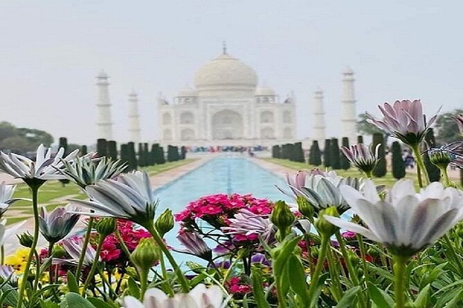 Sameday Taj Mahal Tour From Delhi With Lunch at 5 Star Hotel - Entering the Taj Mahal with skip-the-line help