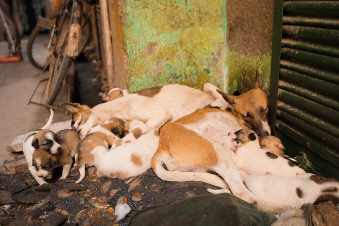 Sanjay Colony Slum Tour - Timing and pacing: what 1 hour 45 minutes feels like