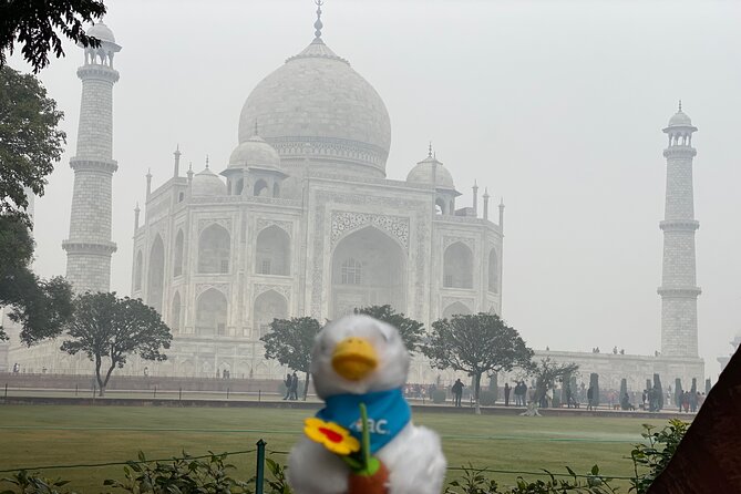 Skip-the-Line Taj Mahal Tour-Hassle-Free Entry & Guide Experience - A Day Trip That Turns Stress Into Sightseeing