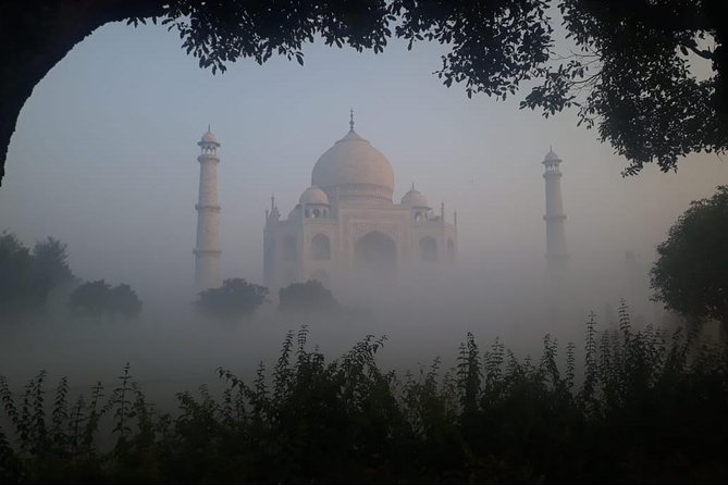 Sunrise tour to Tajmahal and Agra fort from Delhi - Should You Book This Tour?