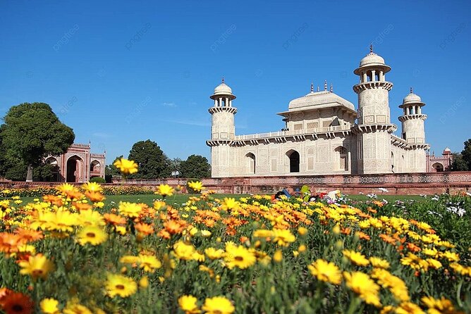 Taj Mahal, Agra Fort & Baby Taj Day Trip from Delhi by Car - Professional guide + private group: what that means in real life
